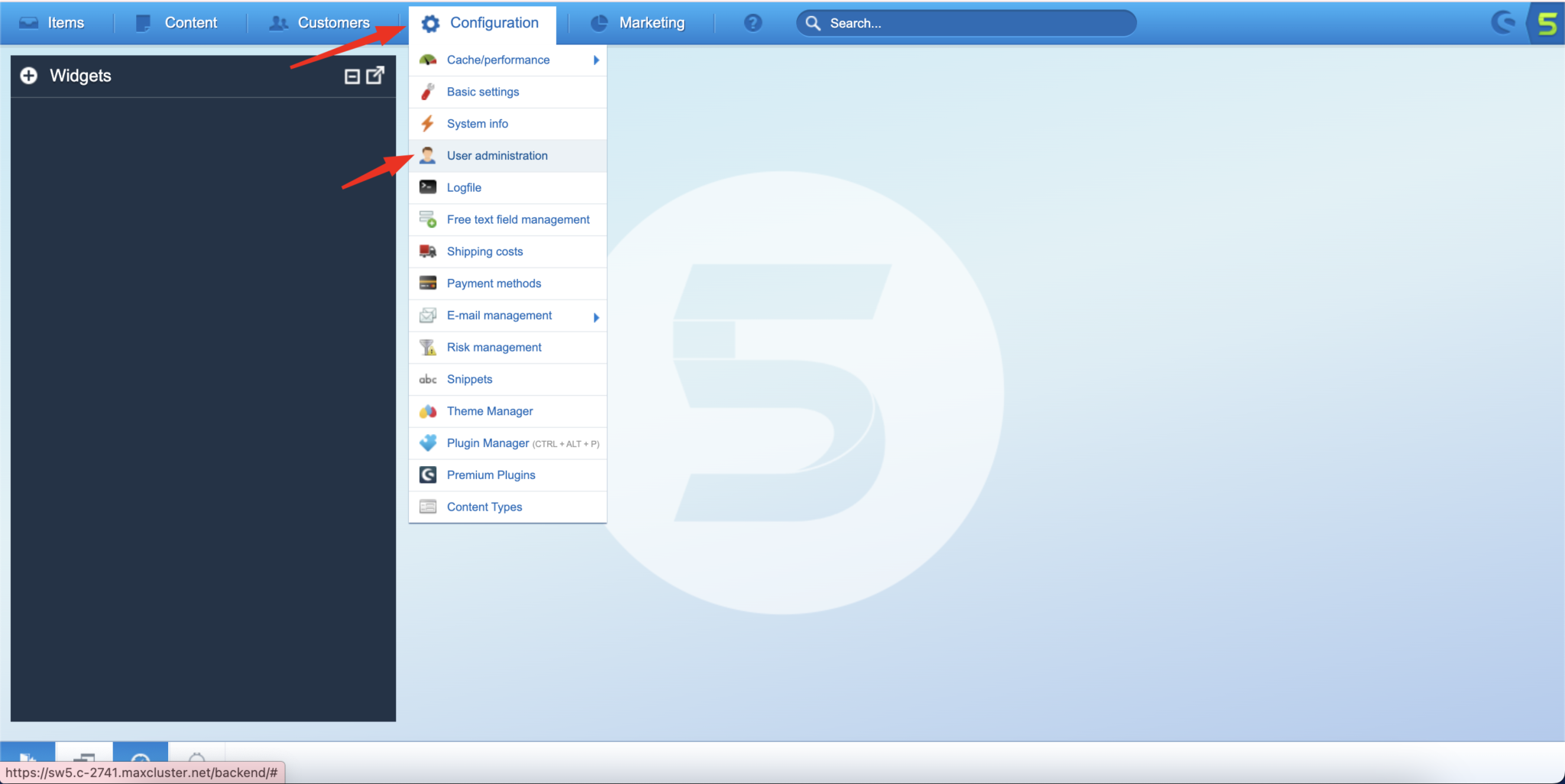 Shopware 5 – Einrichtung 1